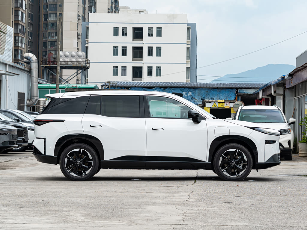 Toyota Platinum 3X, фото 6